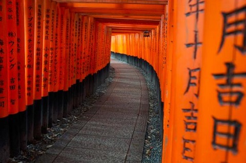 Cổng torii đền Fushimi Inari